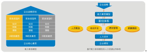 人力資源資本管理與發(fā)展 構建組織核心競爭力的基石